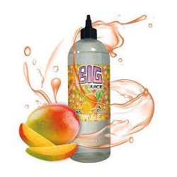 Big Juice Mangue 1L