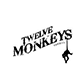 12 Monkeys
